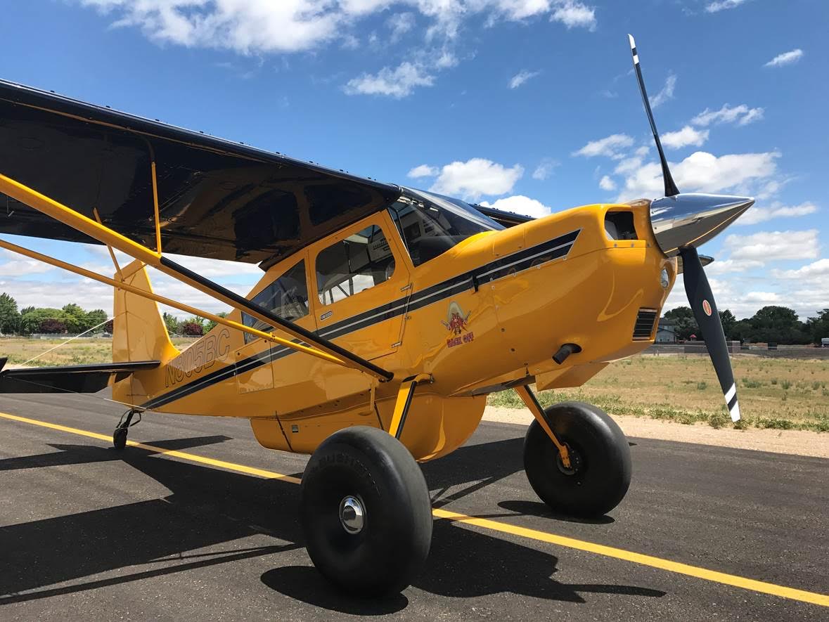 Yellow American Champion Aircraft Scout on Runway