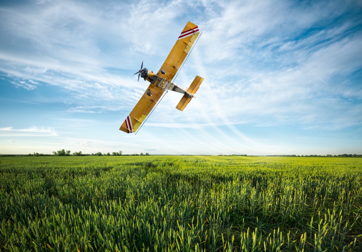 flying yellow plane sprayed crops in the field